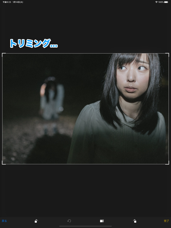 NetaLine iPad screenshot 4 - Photo & Video app