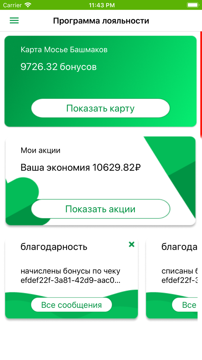 Мосье Башмаков