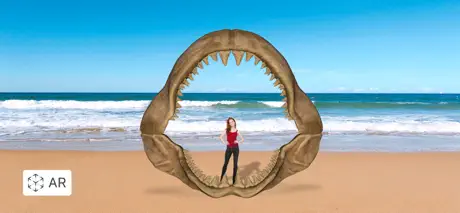 Megalodon