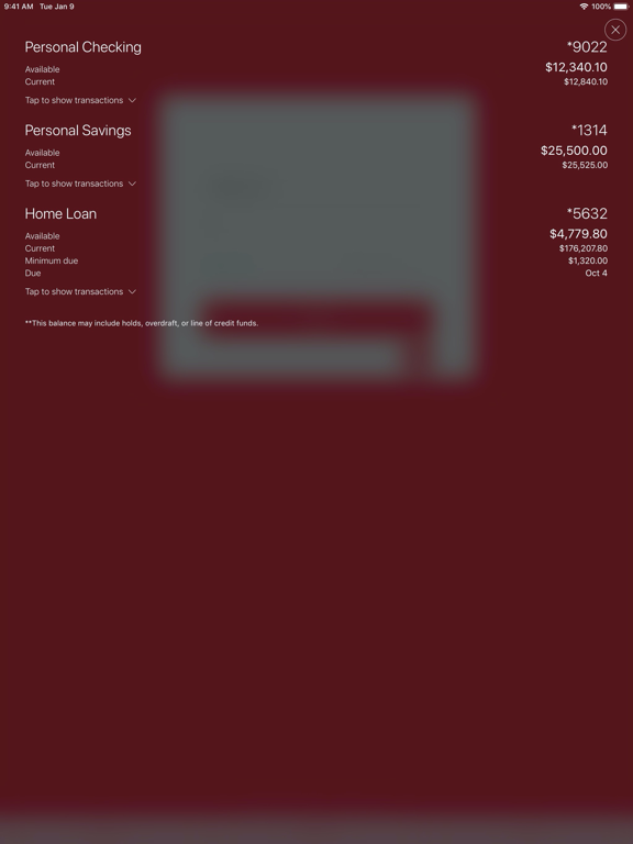 Screenshot #4 pour RIAFCU Mobile Banking
