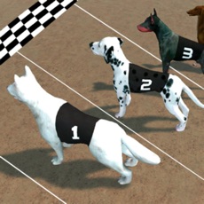 Activities of Crazy Dog Racing