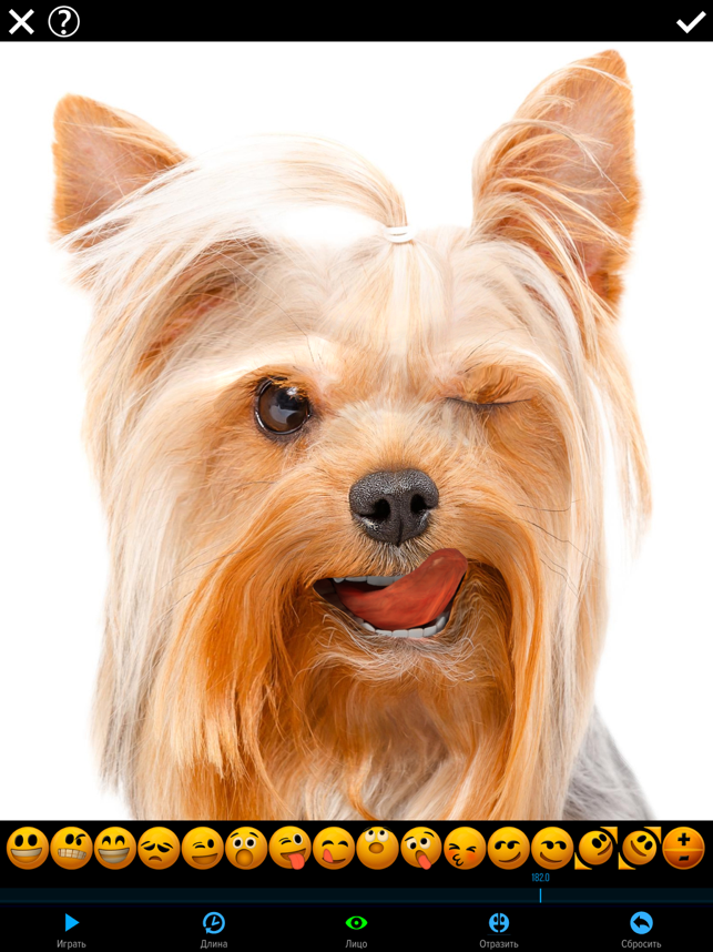‎Mug Life - 3D Face Animator Screenshot