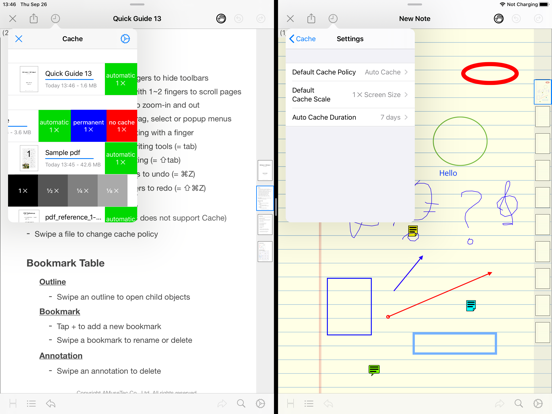 PDF Notes C iPad screenshot