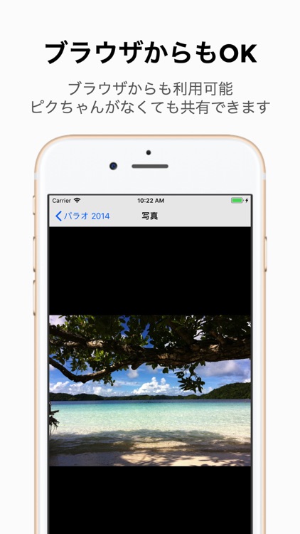 写真管理サービス「ピクちゃん」- 容量無制限で写真を保存 screenshot-3