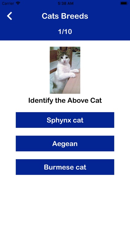 Various Cat Breeds screenshot-3