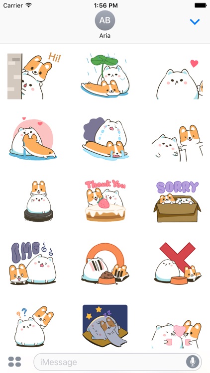 Animated Chubby Cat And Corgi