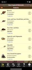 New England Mammals screenshot #6 for iPhone