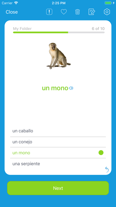 Learn Spanish: VocApp Language Screenshot