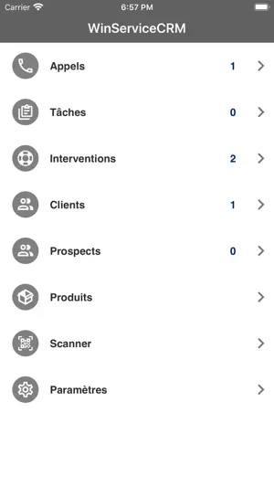 WinServiceCRM screenshot 1