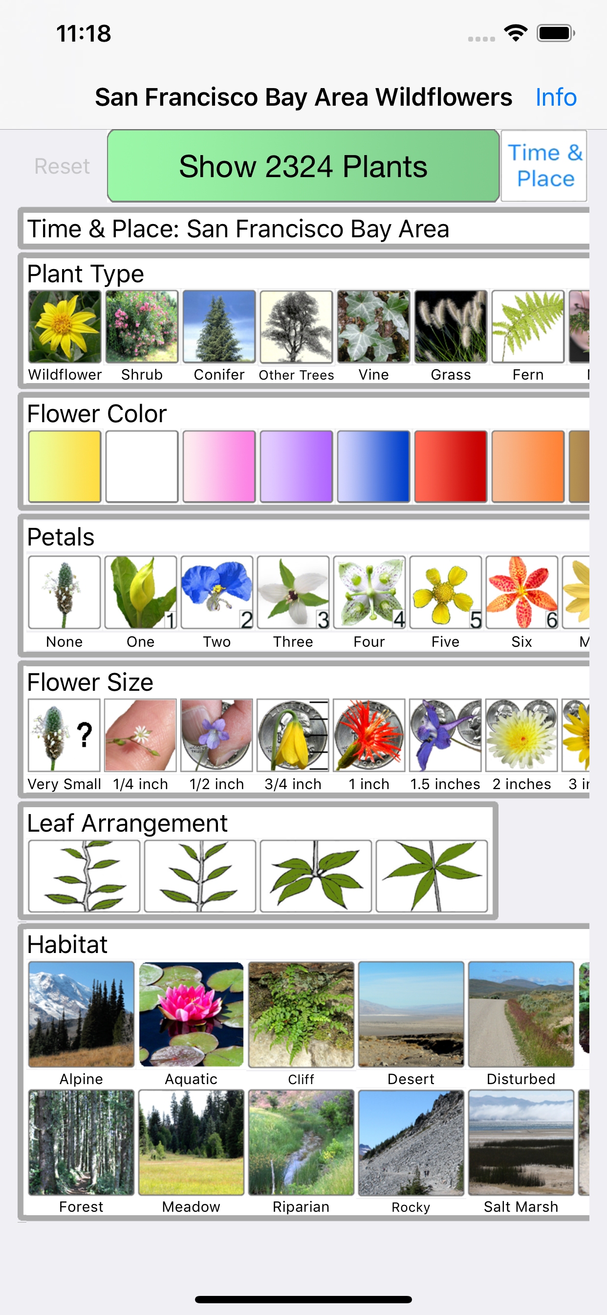 SF Bay Area Wildflowers