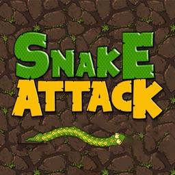 Snake-Attack