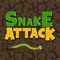 Snake Attack