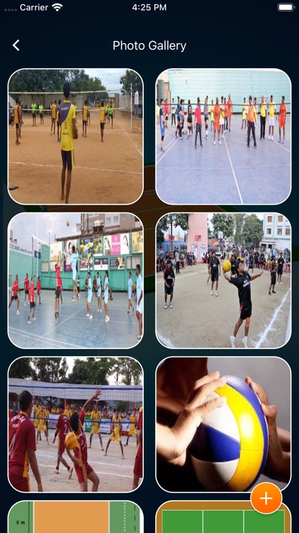 Throwball Court Manager