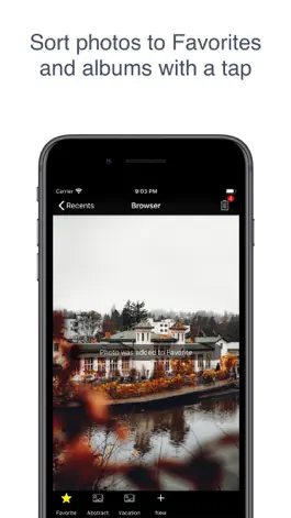 Game screenshot Swipe: Photo Organizer hack