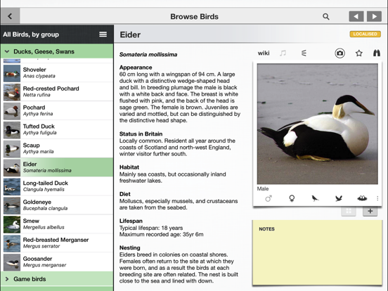 Birds of Britain Pocket Guide iPad screenshot 6 - Reference app