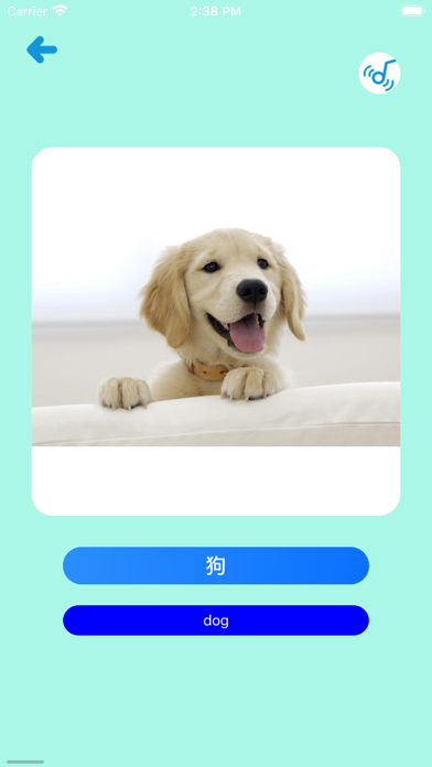 Learn Chinese Simple APP Screenshot