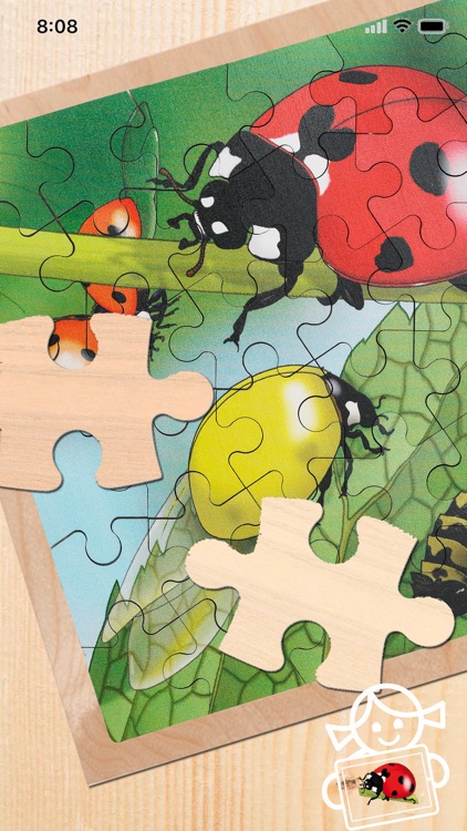 Rolf AR Life of the Ladybird