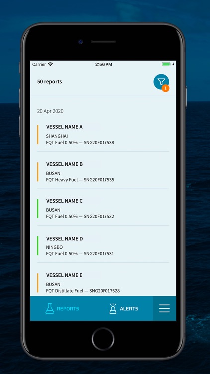 Veritas Petroleum Services