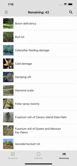 Game screenshot Palm Symptoms Key hack