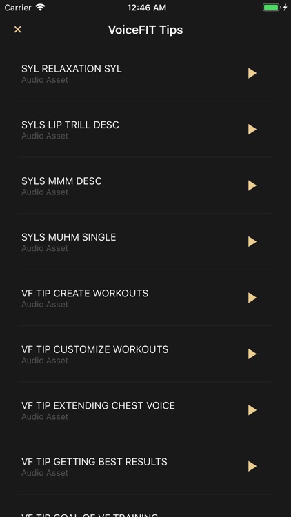 VoiceFIT Creator screenshot-3