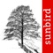 The original and the best, WinterTreeId is an easy to use but comprehensive field guide to trees found growing in open countryside and natural woodland of the British Isles
