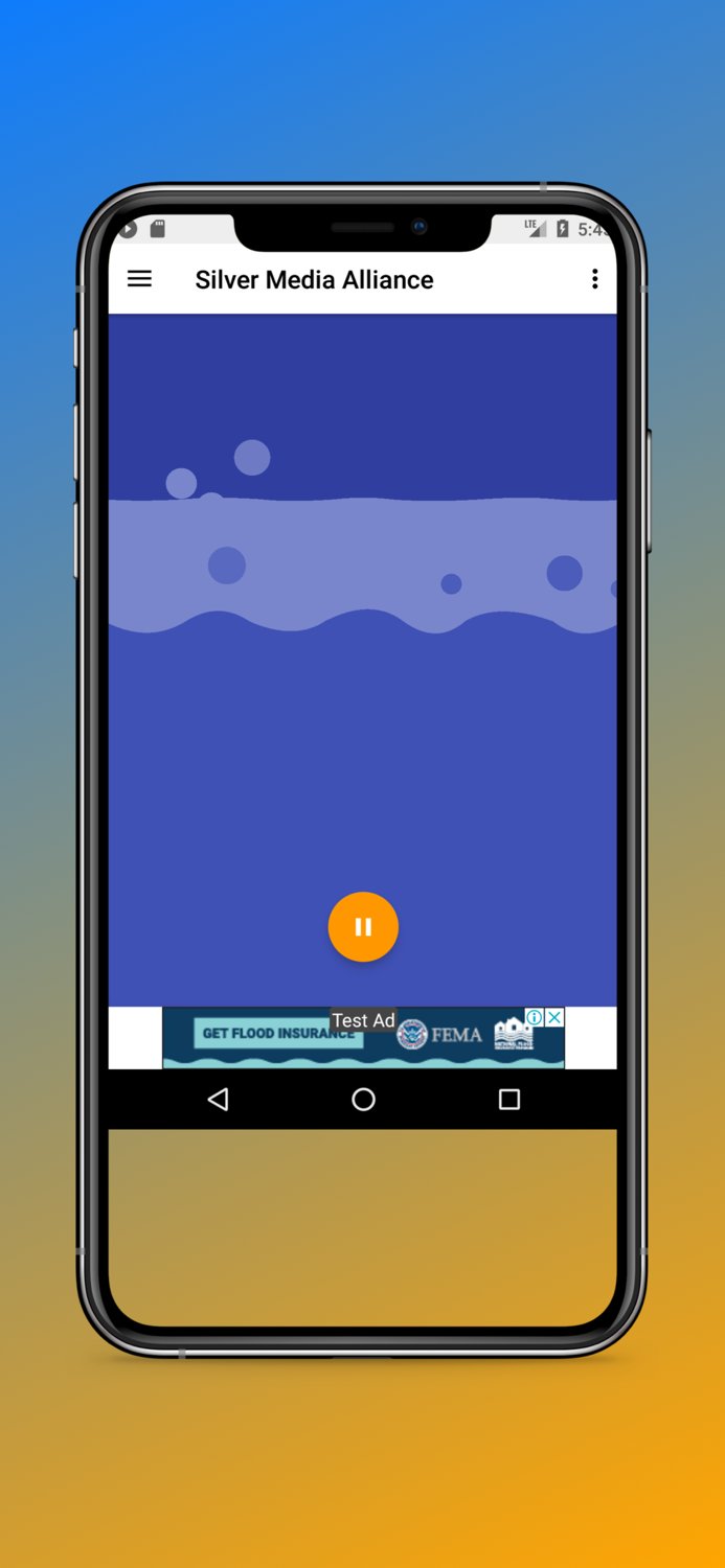 Silver Media Alliance