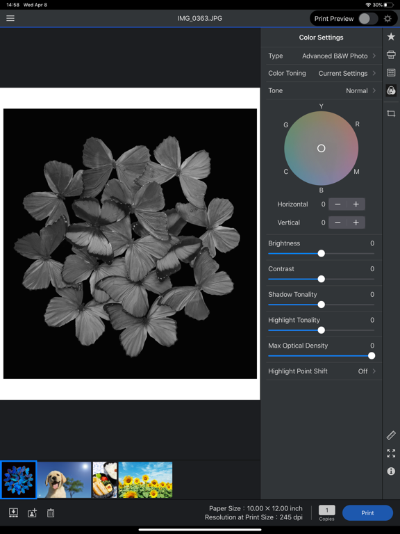 Epson Print Layout iPad screenshot 4 - Photo & Video app