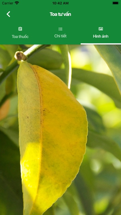 Toa thuốc screenshot-7