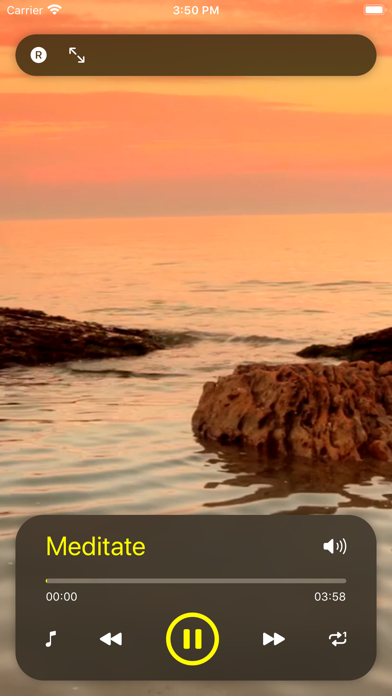 Screenshot #1 pour Musique pour faire face