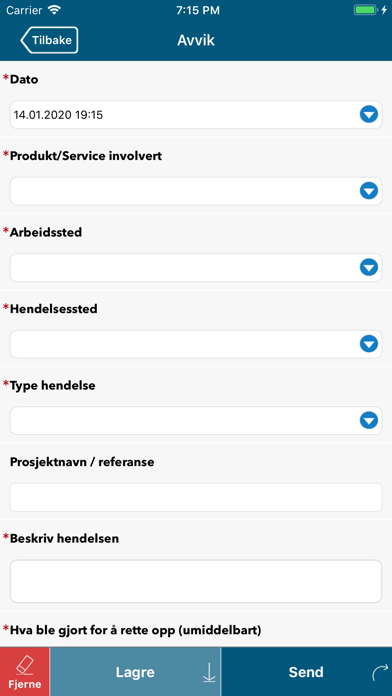 4Service HSEQ screenshot 4