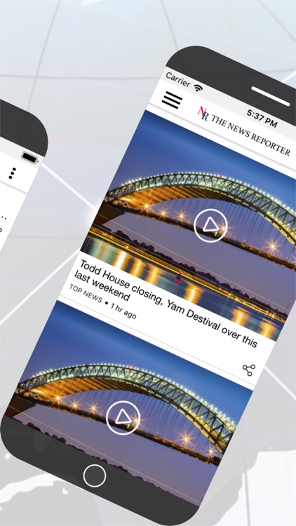 The News Reporter screenshot-5