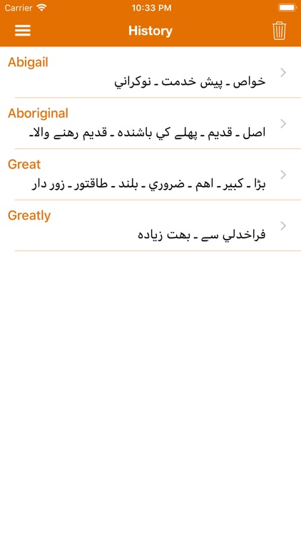 iDictionary English - Urdu screenshot-4