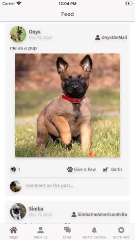 Game screenshot Doggy Mate mod apk