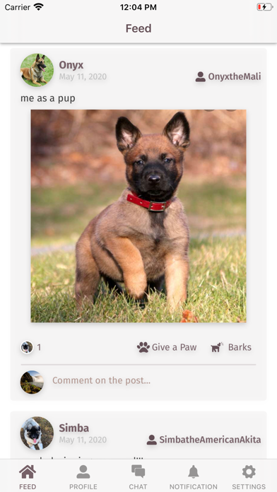 Doggy Mate Screenshot