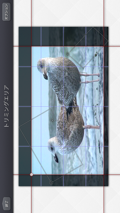 Video Crop & Zoom - HD のスクリーンショット