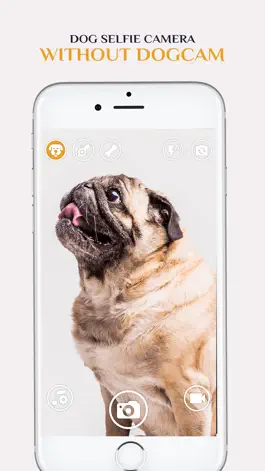 Game screenshot Dog Selfie Camera hack
