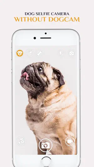 Dog Selfie Camera screenshot 3
