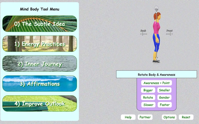 Body tools. Программа Mind body. Майнд боди комбинезоны. MINDBODY приложение. Направление Mind body что это.