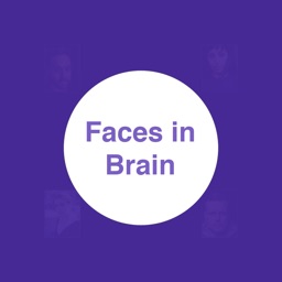 Faces In Brain