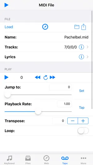 Musk MIDI Player screenshot 3