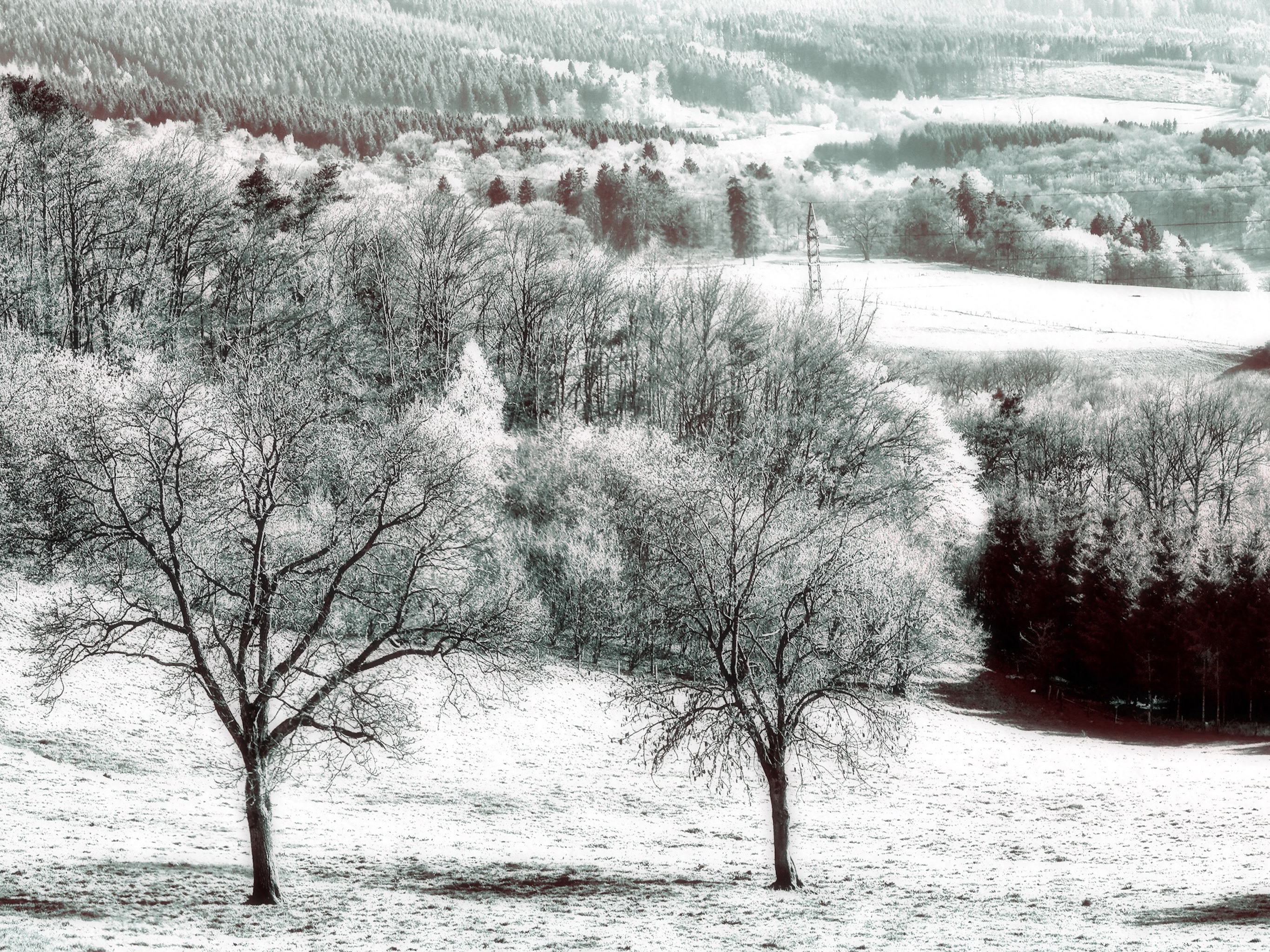 NIR Color screenshot 7