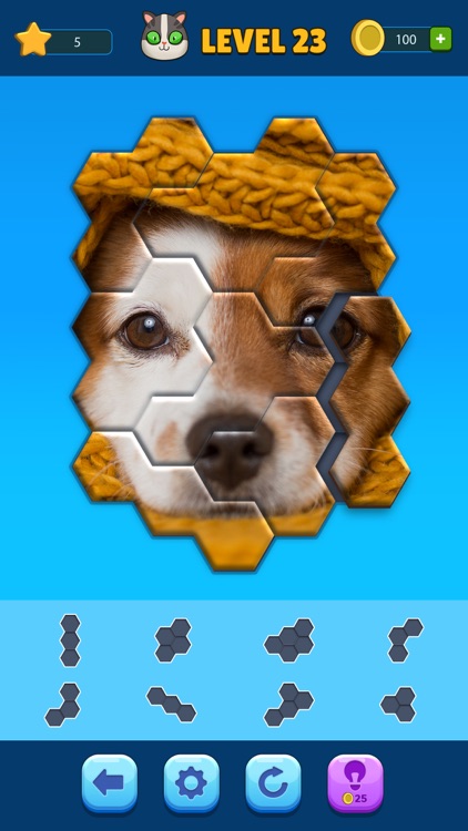 Hexa Jigsaw Puzzle™ screenshot-3