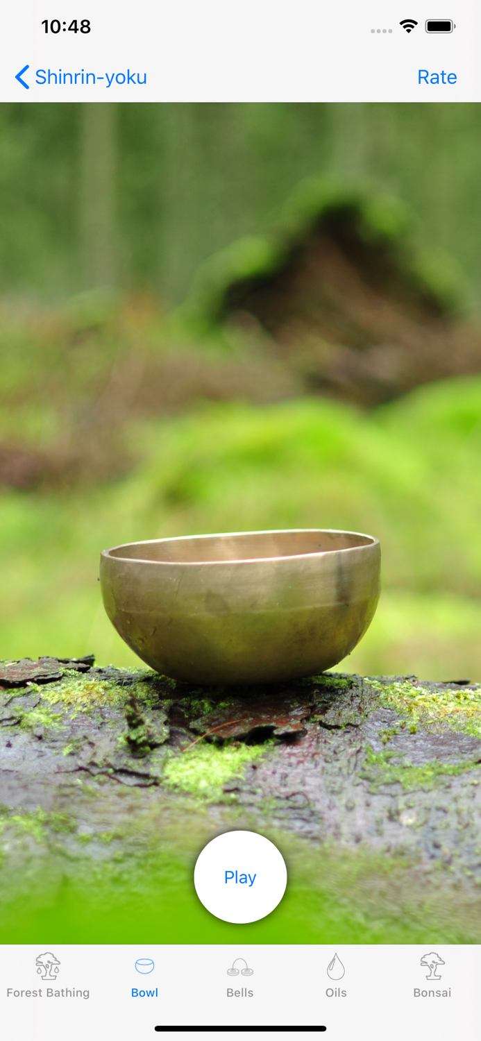 Shinrin-yoku - Forest Bathing