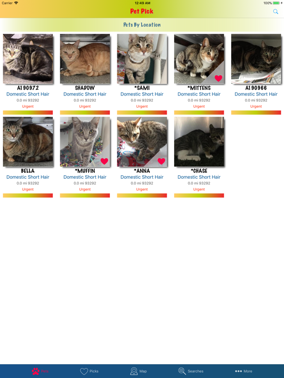 Pet Pick iPad screenshot 2 - Lifestyle app