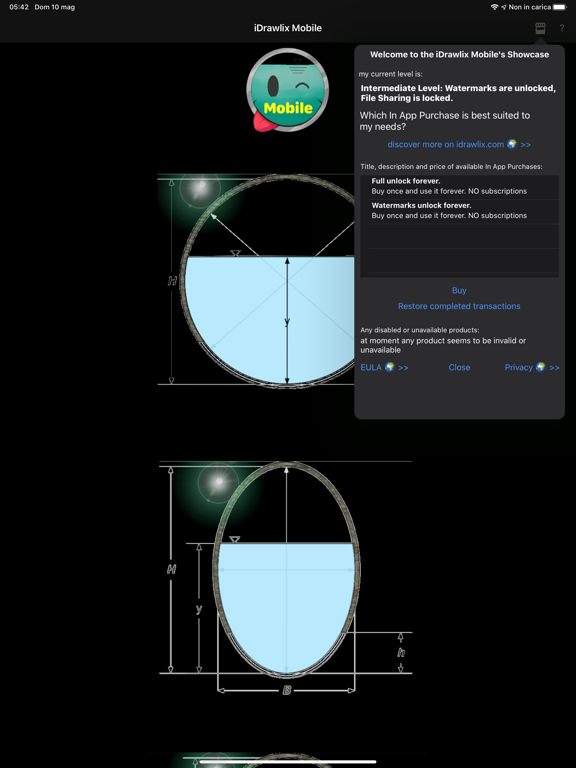 iDrawlix Mobile iPad screenshot