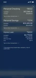 L&N FCU Mobile screenshot #1 for iPhone