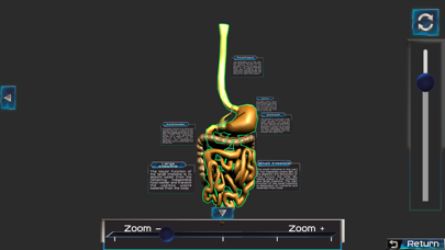 Screenshot #3 pour Human anatomy system & parts