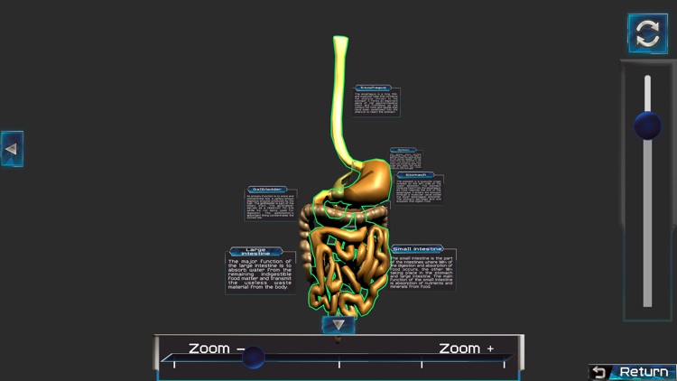 Human anatomy system & parts