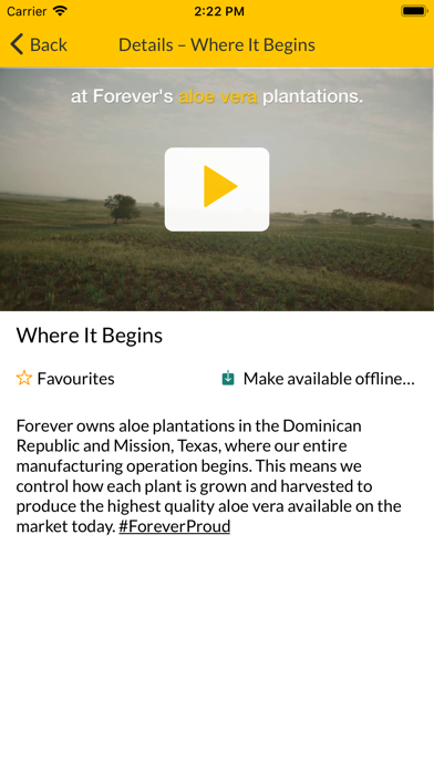 Screenshot #2 pour Forever Video Player