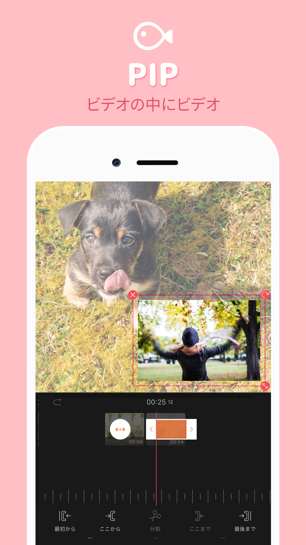 Vllo ブロ 簡単に動画編集できるvlogアプリ Free Download App For Iphone Steprimo Com